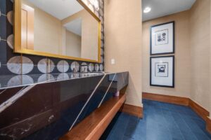 Basement bathroom in luxury Overland Park KS home
